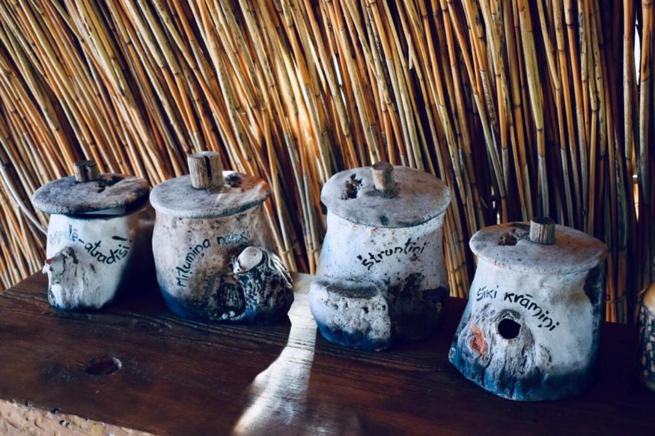 Bebru Maja - Beaver House أوسما المظهر الخارجي الصورة
