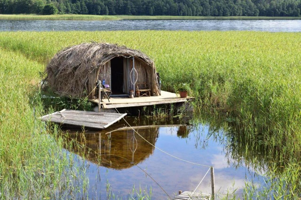 Bebru Maja - Beaver House أوسما المظهر الخارجي الصورة
