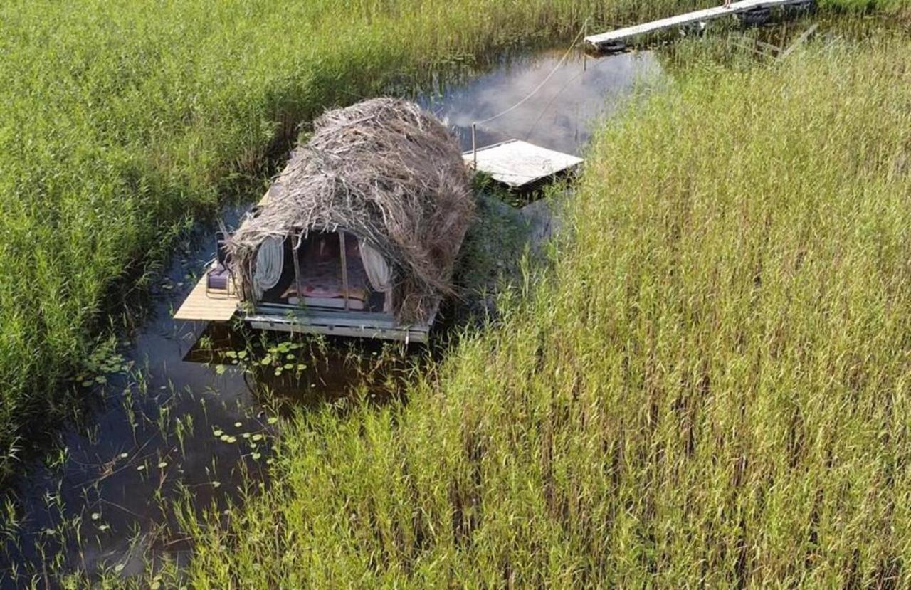 Bebru Maja - Beaver House أوسما المظهر الخارجي الصورة