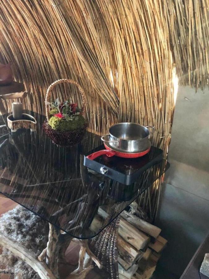 Bebru Maja - Beaver House أوسما المظهر الخارجي الصورة